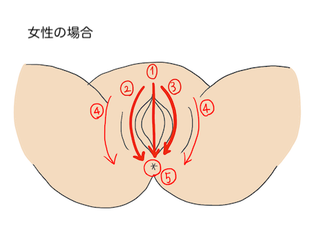 陰部洗浄　女性